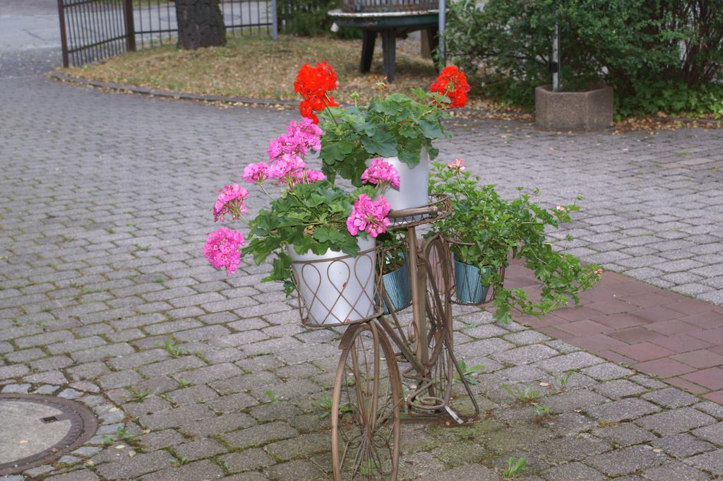Scharmerhof Хоэнбрунн Экстерьер фото